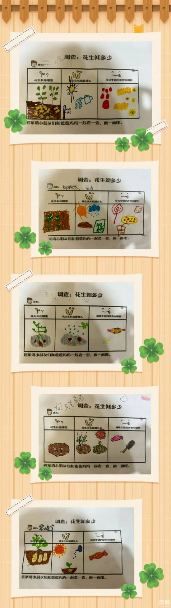 幼儿园植物种植调查表图片