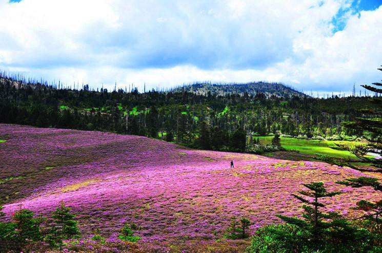 云南香格里拉旅游最佳攻略,去香格里拉旅游最佳时间及注意事项_阿洁_