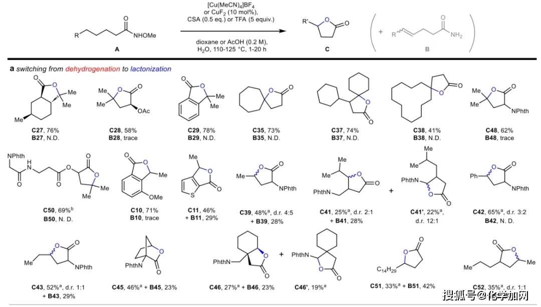 双氧化反应,并依次进行脱氢内酯化(bc102)或脱氢内酰胺化(bc103)(fig
