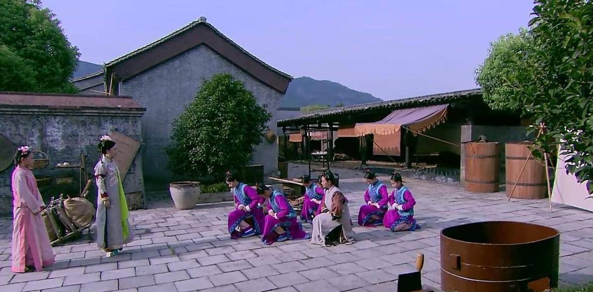 原创魏璎珞刷马桶晴川干苦活良妃洗衣服进了辛者库真这么惨吗