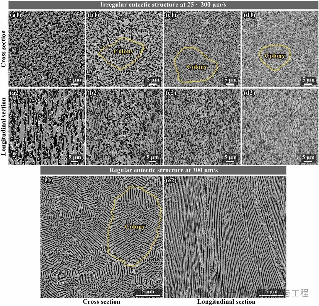 原创西工大苏海军团队氧化物小平面共晶陶瓷复合材料定