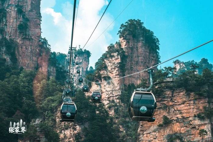 张家界五日游本地团报名费用张家界五日游带父母畅游精