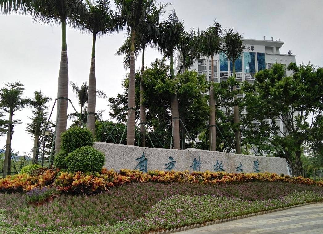 南方科技大学美女书记走红!31岁已被评为副教授,毕业于这所211_姜虹_