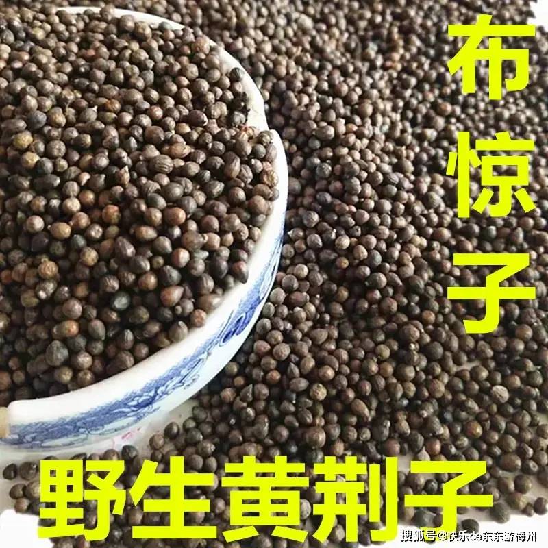 用布惊籽晒干制成的枕头,有镇静安眠去湿之功效.