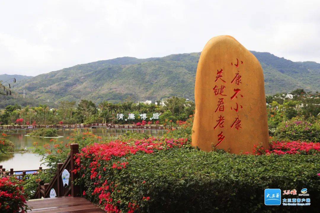 集体经济收入突破千万!三亚这个村的"幸福密码" 是