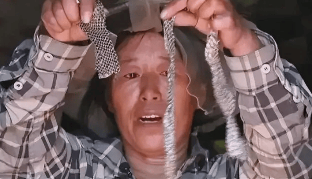 蛇能被养熟吗一农妇与蛇窝同居十年泰国毒王却被一口咬死