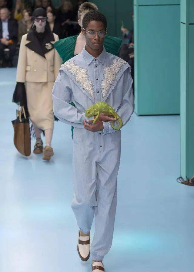 宠物t台走秀天生标准猫步的喵星人已经等不及了