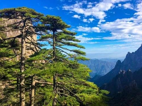 黄山景区三日游旅游攻略线路安排,光明顶跟团3日游多少钱_小雨_景点