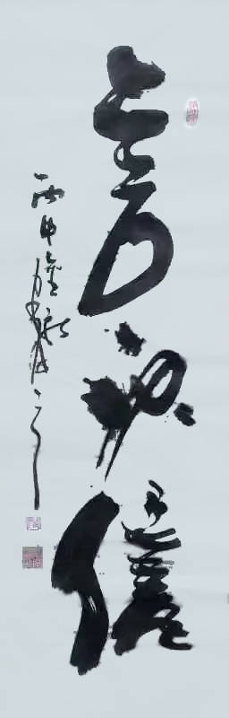 巴黎奥运中法文化交流大使—沈庆明_中国_书法_名家