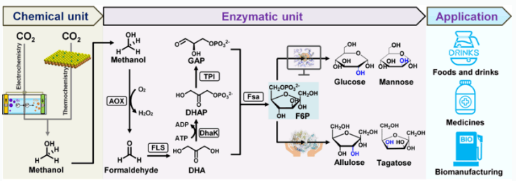 通过二氧化碳科学家可以定制你的快乐