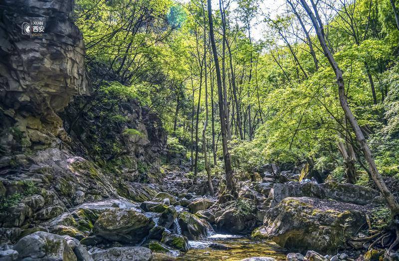 在秦岭北麓邂逅一片春山