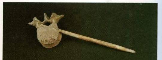 远古部落_时期_审判