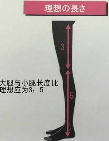 其实它指的就是腿部大腿与小腿的比例,这个数字就是比例.