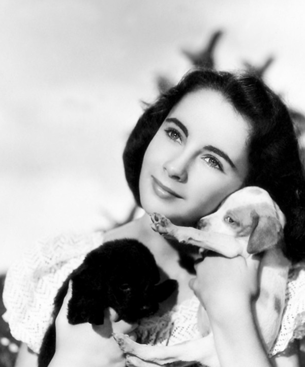 伊丽莎白·泰勒:一生极具传奇色彩,好莱坞传奇女王永不褪色