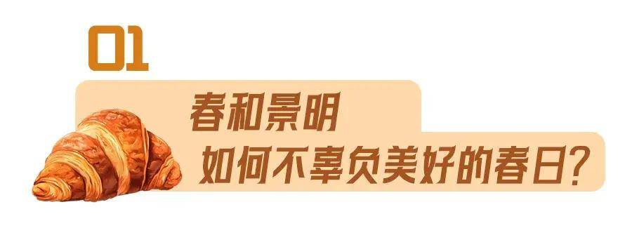 逛面包超市的快乐谁懂连吃一周都不重样