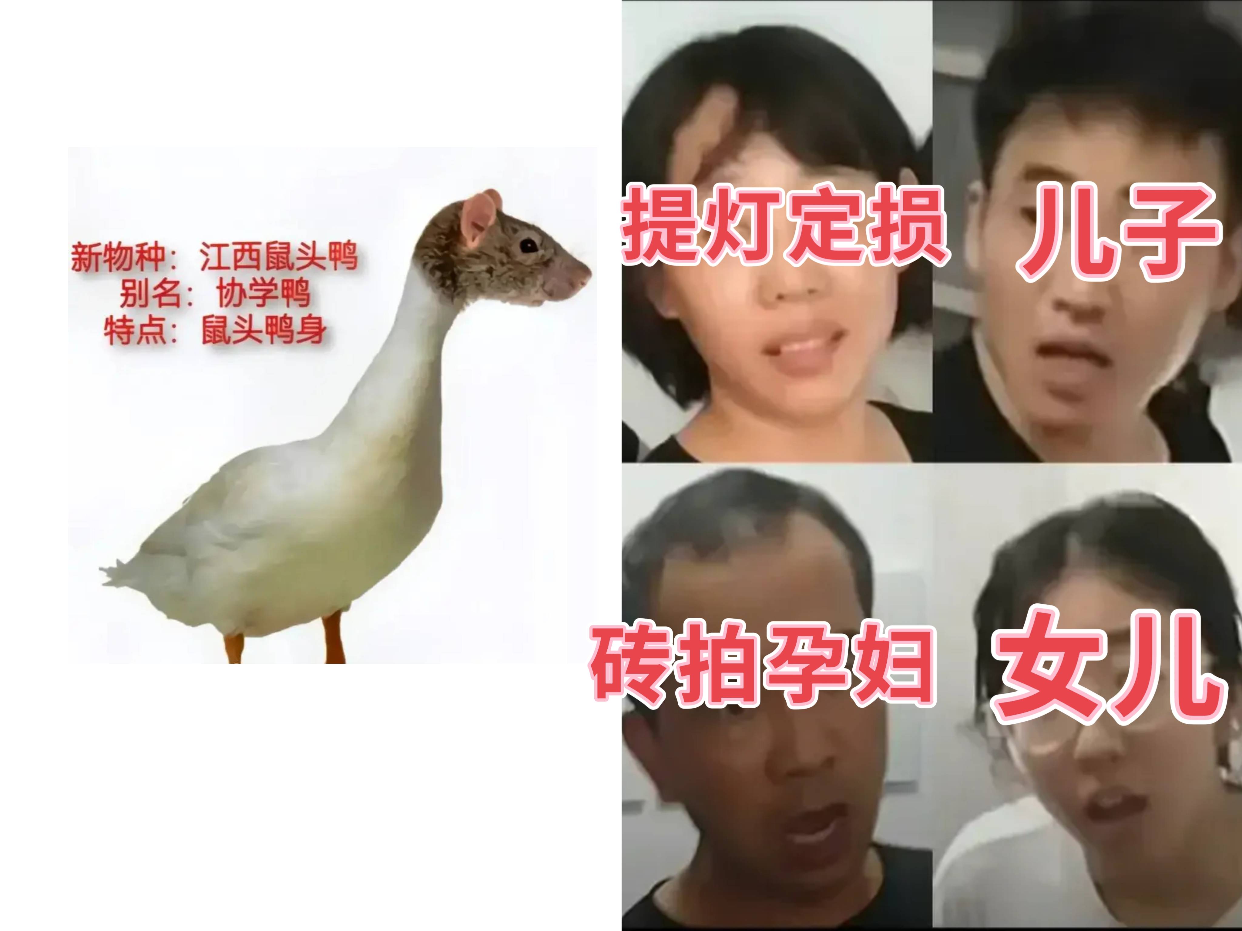 报应来了一个人坑惨一座城江西立军令状提灯定损房东被行拘