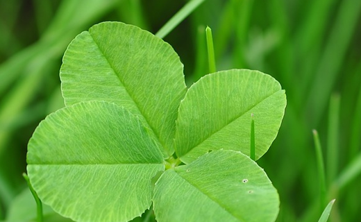 一冷战就开始不安分的星座觉得爱情要完了