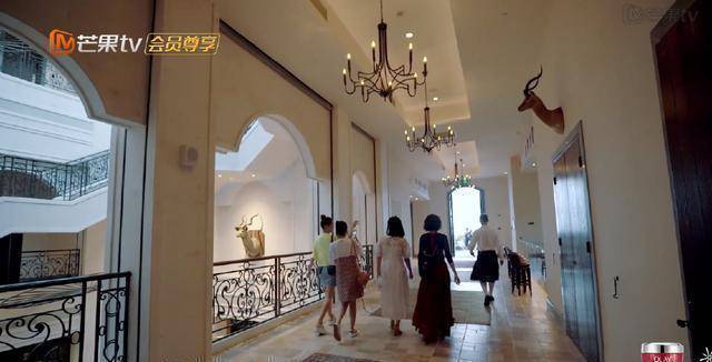 程莉莎被满墙虫子吓到不敢吃饭应采儿还在犹豫谢娜果断换地方