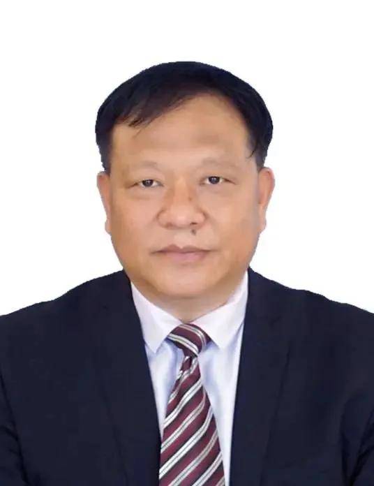 今年3月各地区被查的14名城投交投集团董事长