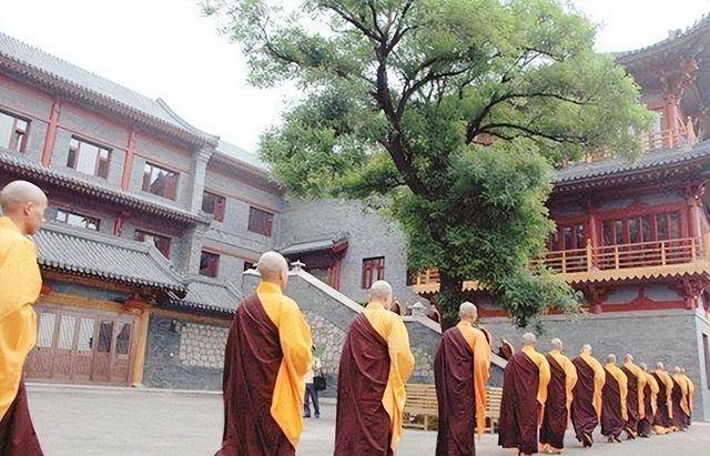 2010年北大天才不顾父母放弃麻省理工出家今已还俗入职公司