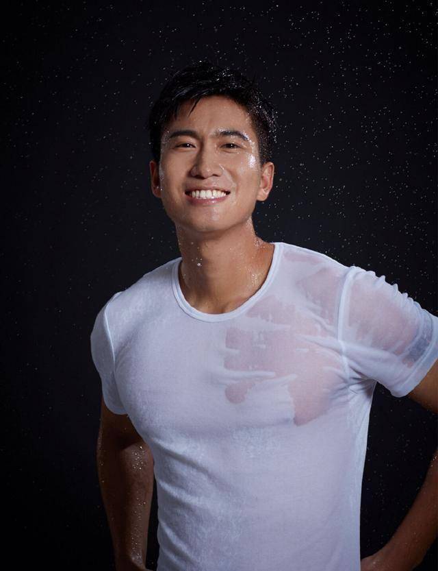 的艺人,外形上,一般都有着特能吸人眼球的优质,像吴彦祖,阮经天,胡兵