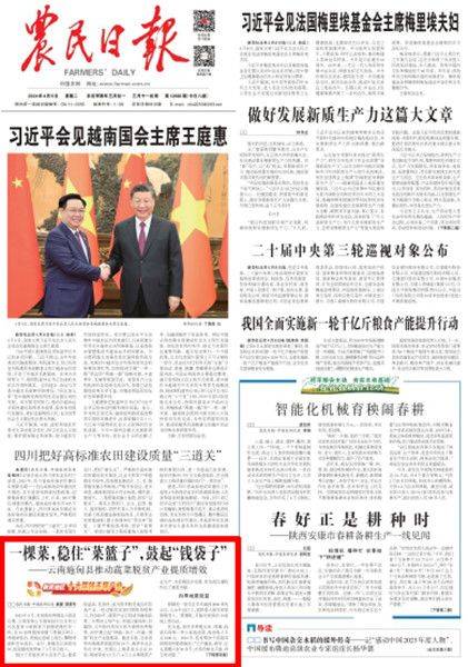 农民日报头版关注施甸一棵菜稳住菜篮子鼓起钱袋子