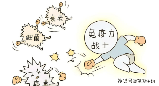 一文读懂免疫球蛋白