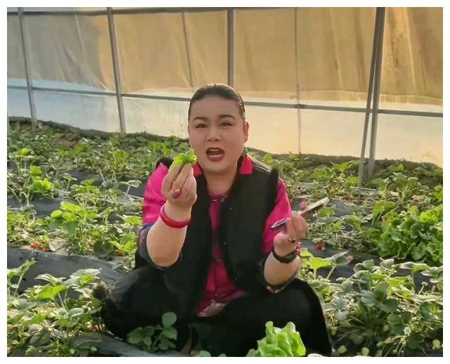 开封王婆接班人火爆全网真实身份揭秘变性豫剧大师