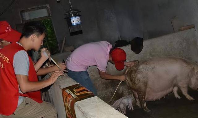 一个叫张继文的志愿者看到这个信息之后,立即来到了猪孩的家展开调查