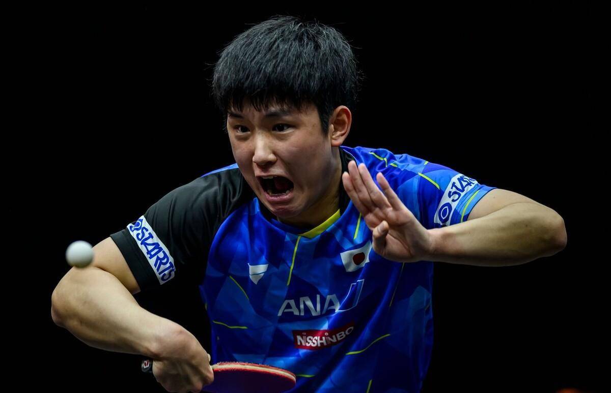 张本家族与国乒的跨国纠葛一场关于身份荣誉与争议的乒坛之战