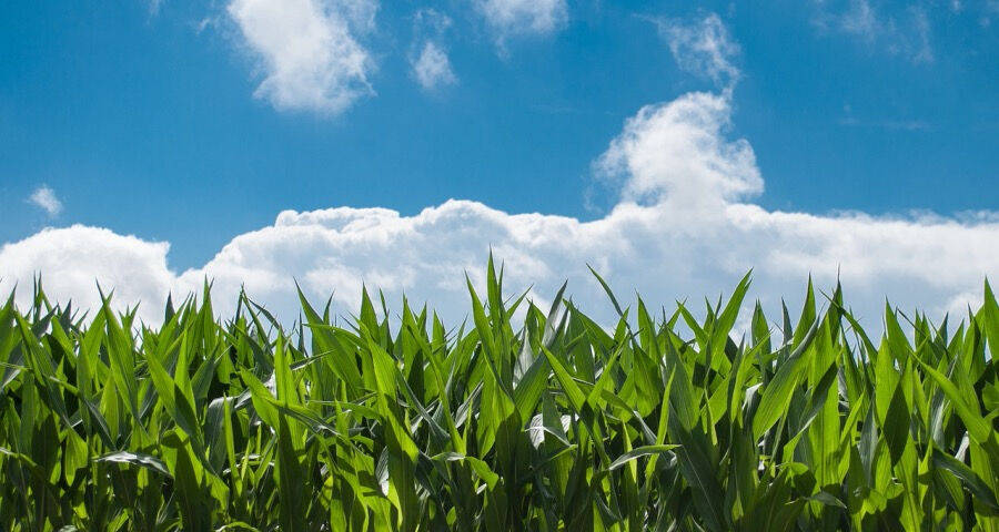 家电企业对经销商的经营管理要重启了-家电圈官网