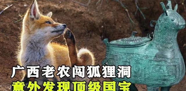 1991年,广西一农民无意闯入"狐狸洞",发现一级国宝麒麟兽_花生_狐狸窝