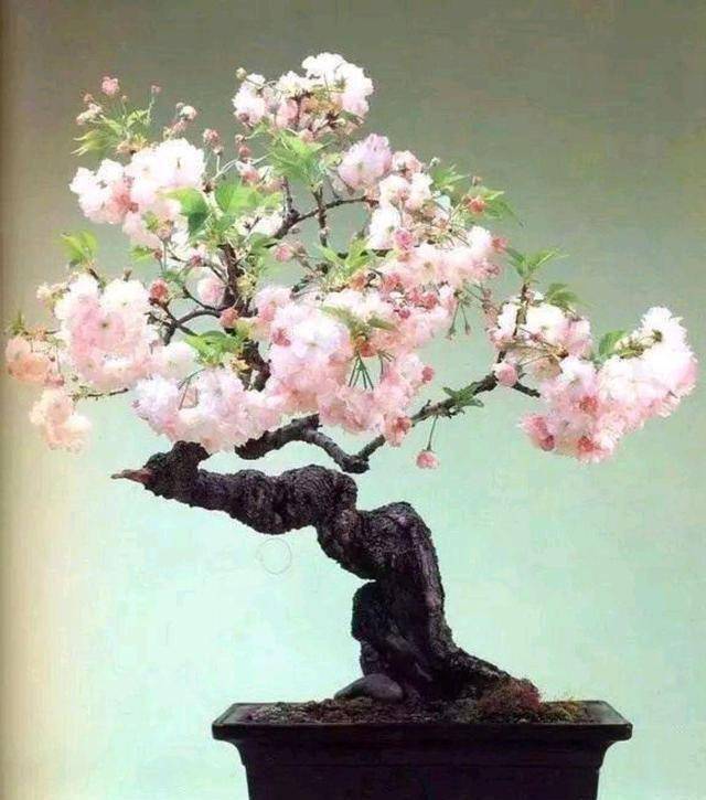 春天只在我们自己的手里