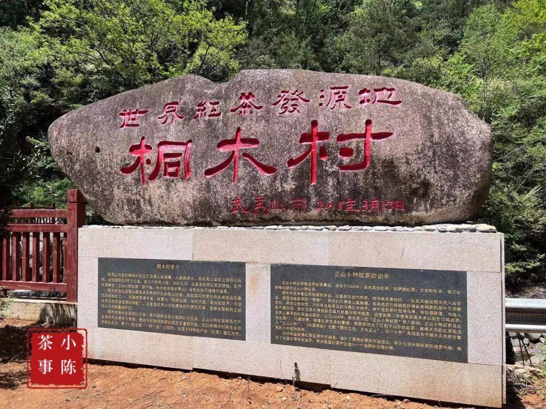 比往年来的更晚一些减产的桐木金骏眉今年它会降价吗