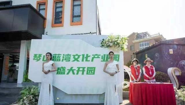 打造临安文创产业新地标临安文化产业园今日开园