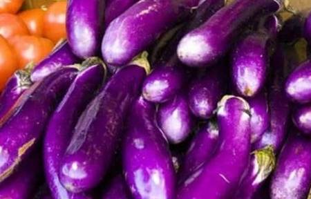 买茄子时买弯的还是直的挑错就白买了难吃还浪费钱