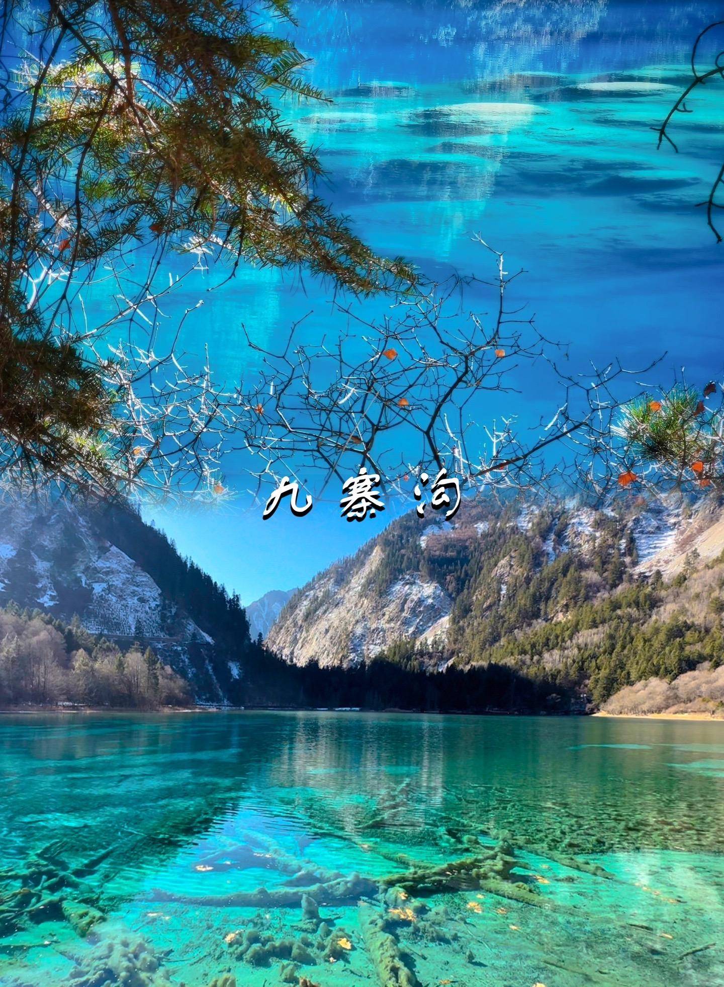 成都六日游自由行攻略,都江堰黄龙旅游6天花费多少?详细攻略