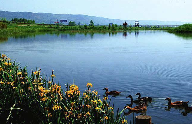 渭河造就了"金城千里,天府之国"!更是休闲游乐的生态美景