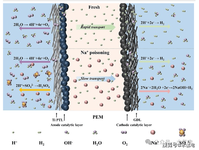 华北电力cespemwe中钠离子对mea中毒效应及恢复策略