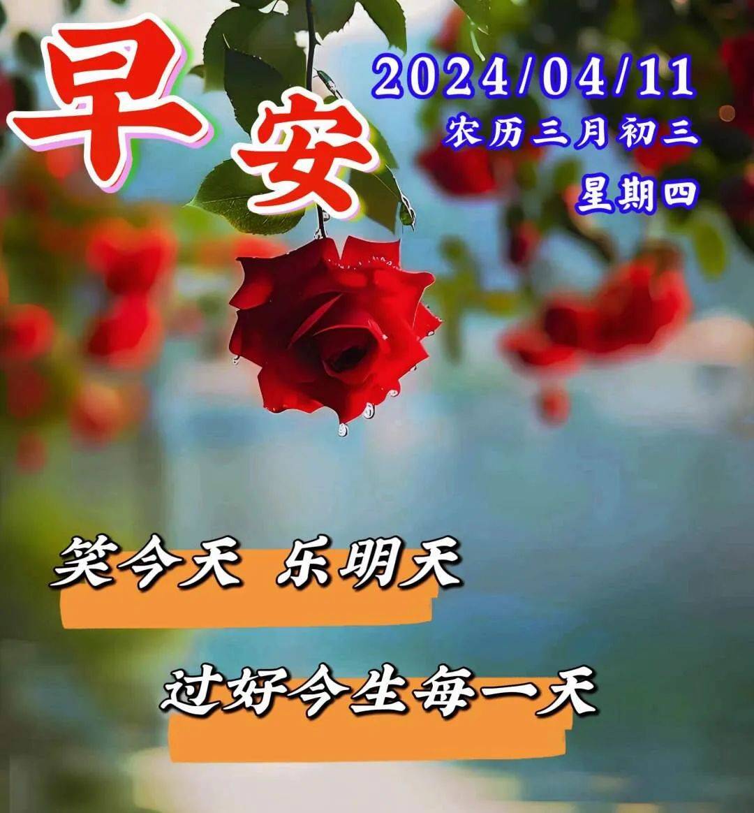 原创2024年4月11日周四早上好精选早安暖心祝福图片带字问候语录周四