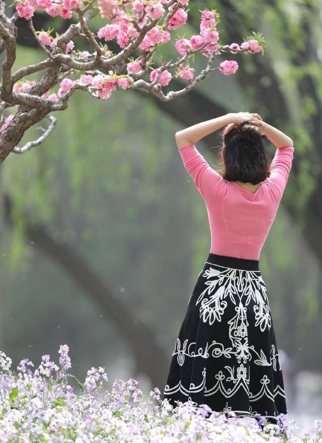 女人赏花背影图片图片