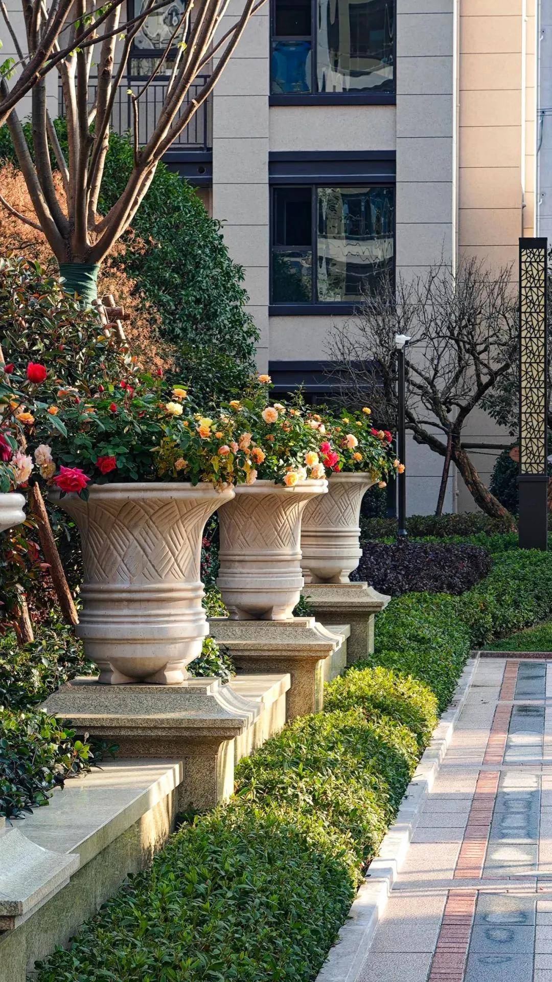 佳运名邸宝山佳运名邸首页网站丨佳运名邸欢迎您丨楼盘详情户型价格