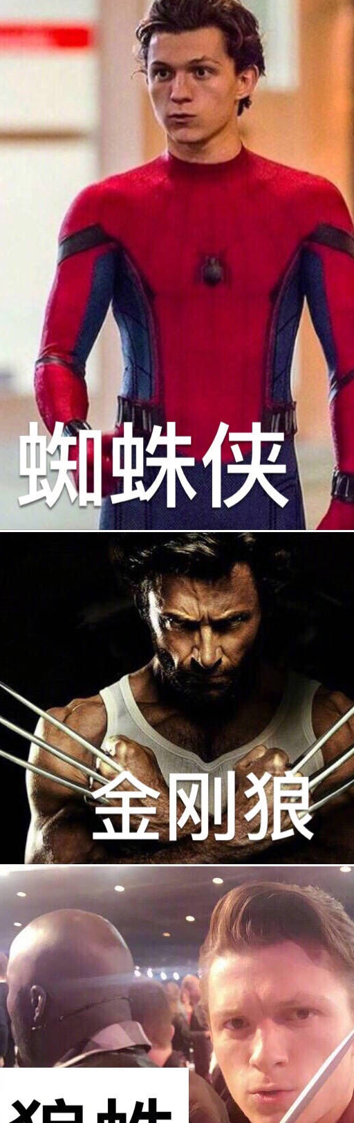 洛基,