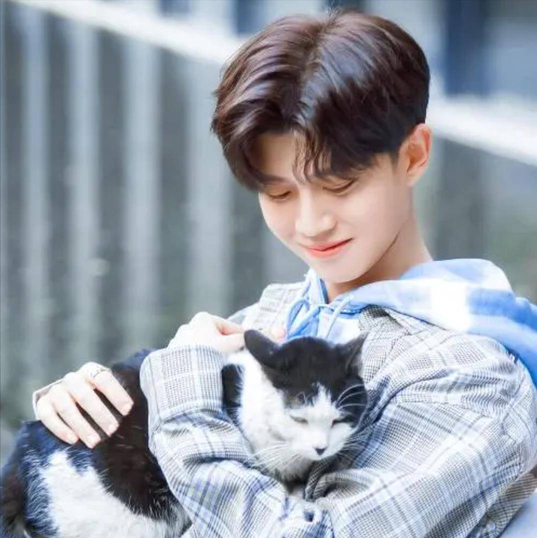 原创都说任嘉伦该长点心了其实已婚已育的他活得比谁都清醒