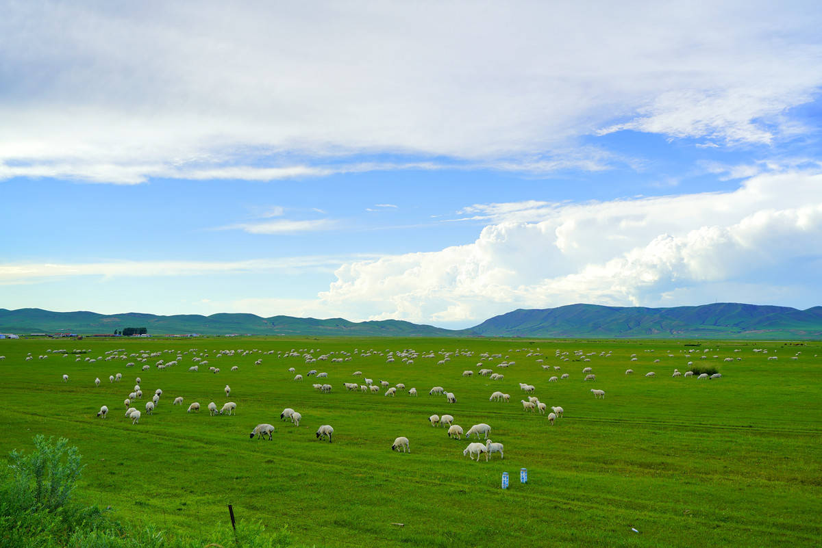 七天内蒙那些景点必去?人均费用多少?_满洲里_草原_旅游