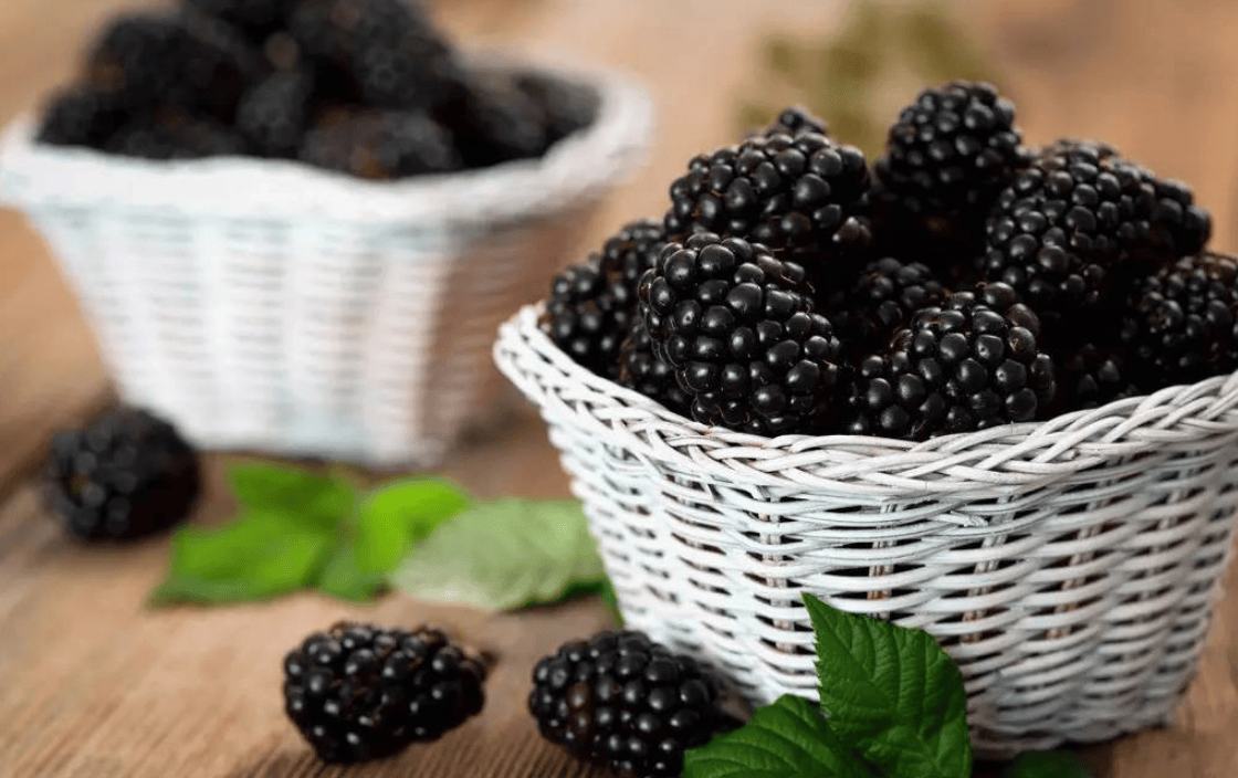 桑葚原浆哪个牌子的好用又便宜你真的了解吗快点赞收藏吧