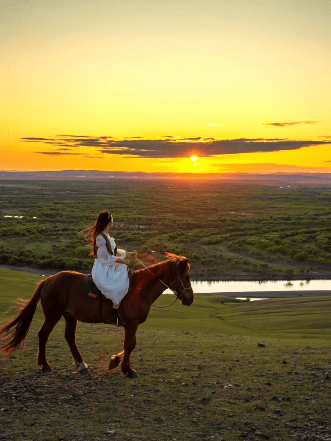 例如,如果你对摄影感兴趣,我们可以提供专业的摄影导师,带你深入草原