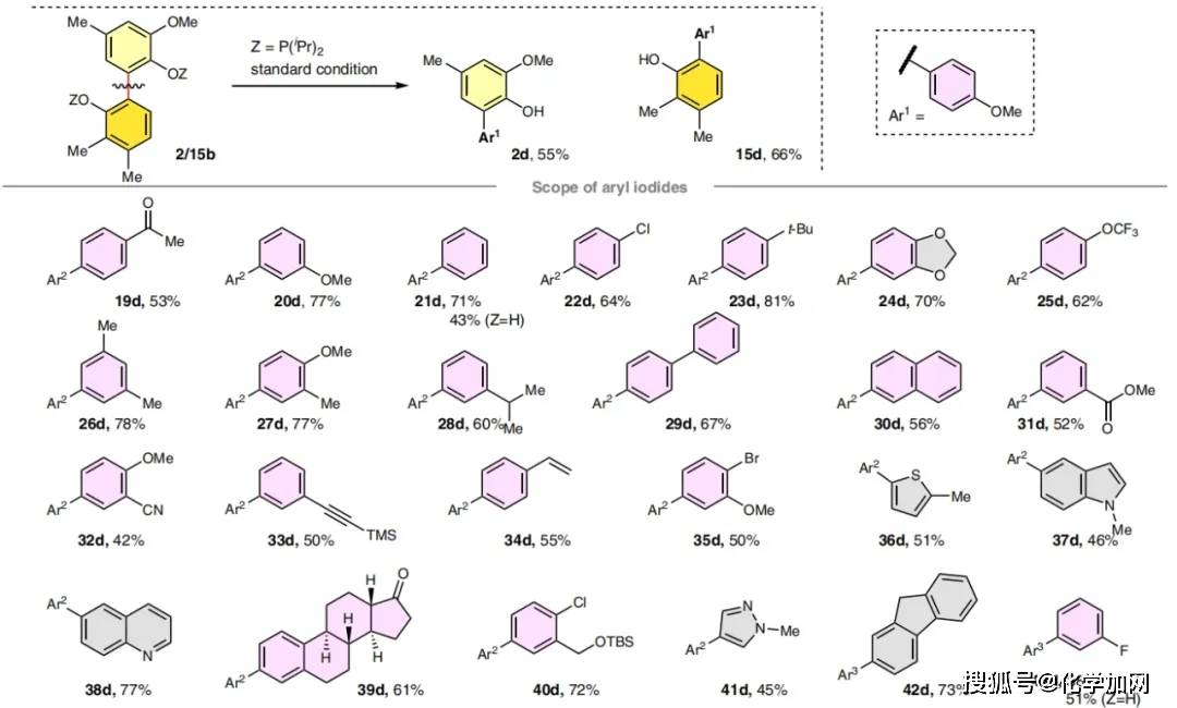 原创董广彬课题组natcatal铑催化非张力芳基芳基键的分裂交叉偶联反应