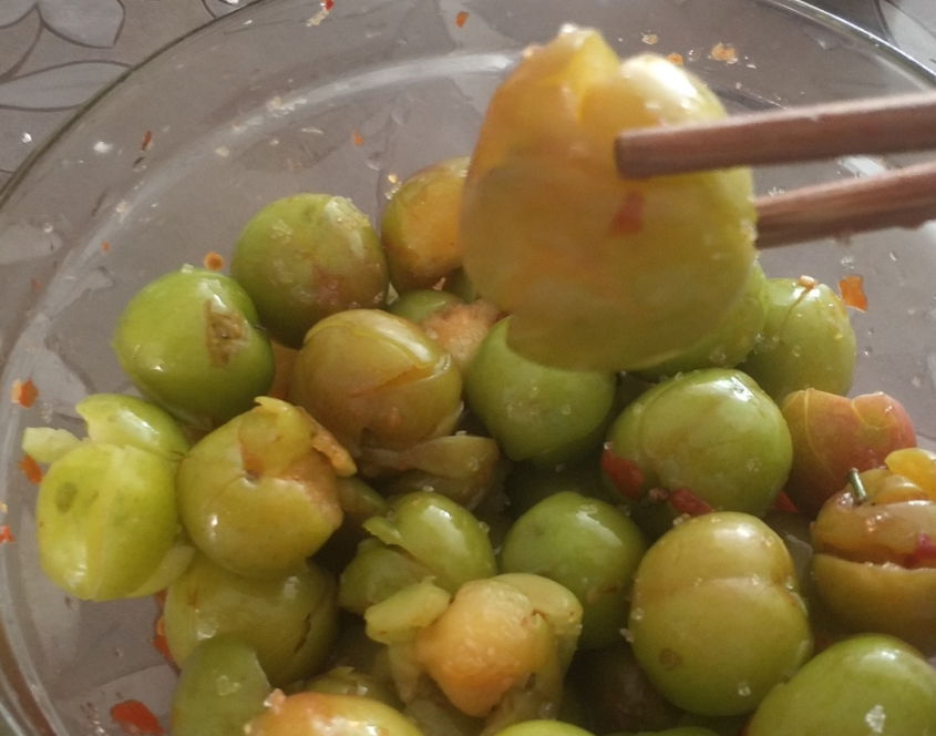 李子_果地_果子