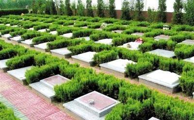 为什么有人不愿意火化因为扁鹊说用这秘术试试说不定有惊喜